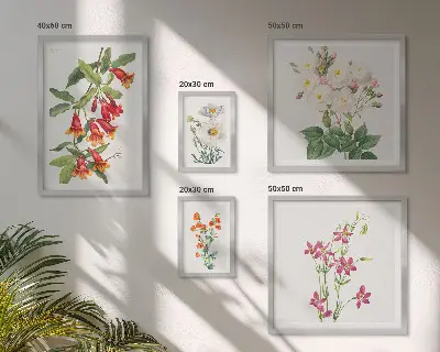 Sada obrazov nad pohovku s kvetinovými botanickými motívmi