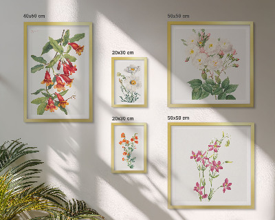 Sada obrazov nad pohovku Kvetinové botanické motívy