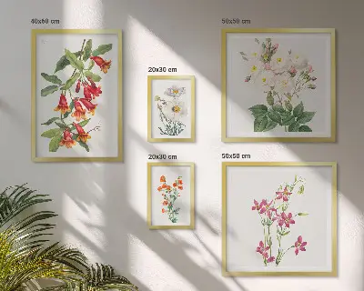 Sada obrazov nad pohovku s kvetinovými botanickými motívmi