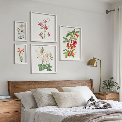 Sada obrazov nad pohovku Kvetinové botanické motívy