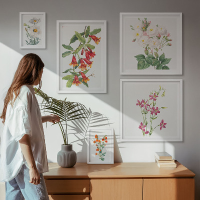 Sada obrazov nad pohovku Kvetinové botanické motívy