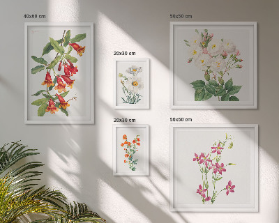 Sada obrazov nad pohovku Kvetinové botanické motívy