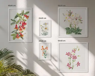 Sada obrazov nad pohovku s kvetinovými botanickými motívmi