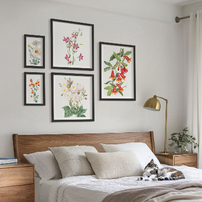 Sada obrazov nad pohovku Kvetinové botanické motívy