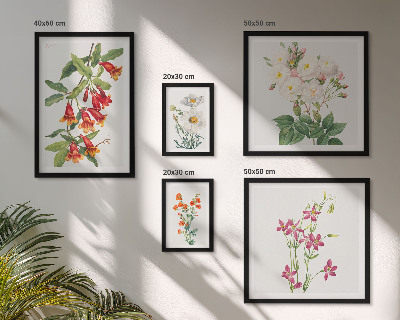 Sada obrazov nad pohovku Kvetinové botanické motívy