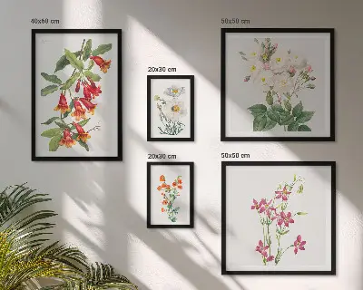 Sada obrazov nad pohovku s kvetinovými botanickými motívmi