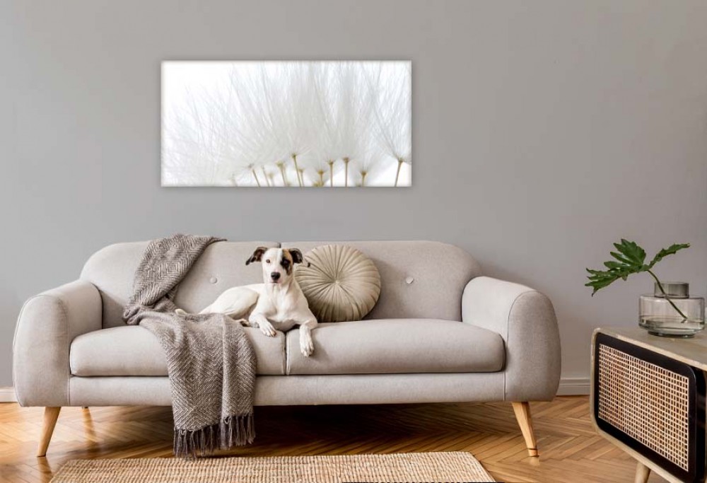 farba interiéru roku 2026